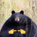 Zazzuki's Avatar'