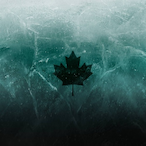 icecreast's Avatar'