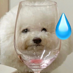 CRISP0.0's Avatar'