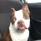 EyeLuvPinks's Avatar'