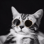 SenpaiDilEmma's Avatar'