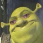 ShrekMath's Avatar'