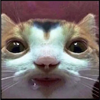urgle_burgle's Avatar'