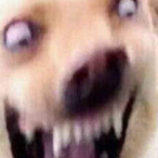 skidmarkuwu's Avatar'