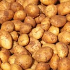 IBeAPotatoes's Avatar'