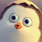 Kasimassss's Avatar'