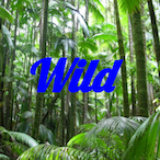 StateFarmWild's Avatar'