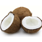 BattleCocoNut's Avatar'