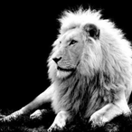 Papabeef79's Avatar'