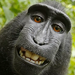 Babou1Sauvage69's Avatar'
