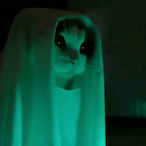 mooncakie.'s Avatar'