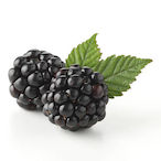 Juju.Blackberry's Avatar'