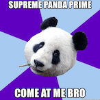 Prime.Panda's Avatar'