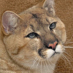 ItsunosHusbando's Avatar