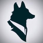 FoxyFox.'s Avatar'