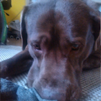 Metalfreak_No.1's Avatar'