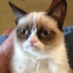 Hi_Im..Dog's Avatar'
