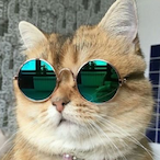 V1Rtu4LGod-'s Avatar'