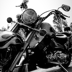 cali lrmx2's Avatar'