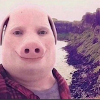 BucketRigged5's Avatar'
