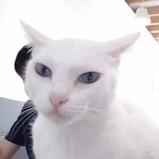 Manubearz's Avatar'