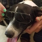 DeathBlade23456's Avatar