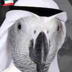 K9W6's Avatar'
