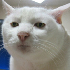 Pluutek_'s Avatar'