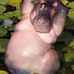 HoldDzNutZ420's Avatar'