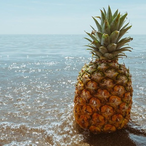 pin3appl3.'s Avatar'