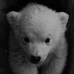 a880787000's Avatar'