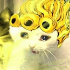 Rzx1fy's Avatar'