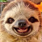 Rosmas5557's Avatar'