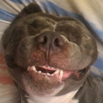 Tyr_Gaming01's Avatar