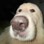 Syzst's Avatar'