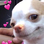 UwUThotty32's Avatar'
