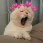 melonoies's Avatar'