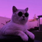 elu's Avatar'