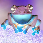 TheInvertedFrog's Avatar'