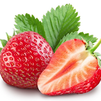 Mr_Fragola's Avatar'