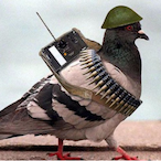 HujukaSisighawa's Avatar'