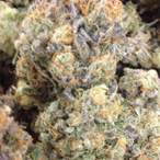 DabTheOG's Avatar'