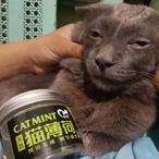 Poisonouscat's Avatar'