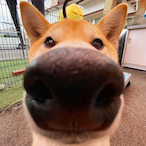 BrokeBack.'s Avatar'