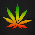 HeyMercii's Avatar'
