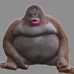 roygotdrip's Avatar'