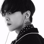 FatKitty53's Avatar'