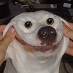 EGGS_ARE_DEE's Avatar'