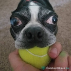 dominikvars's Avatar'