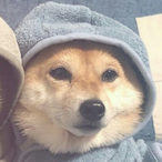 schiz0.'s Avatar'